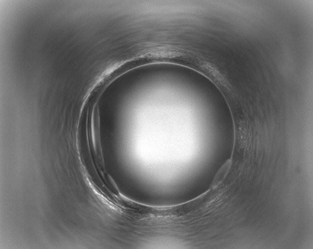 X0000059850726200510241503