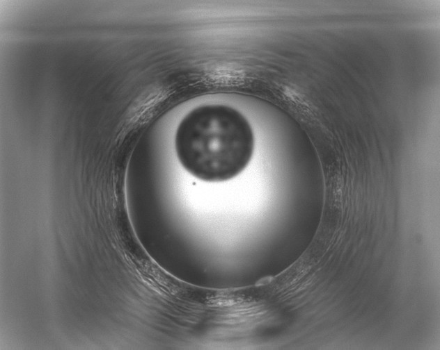 X0000059850746200510241503