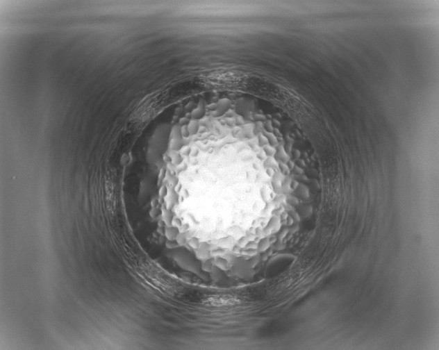 X0000059850749200510241503