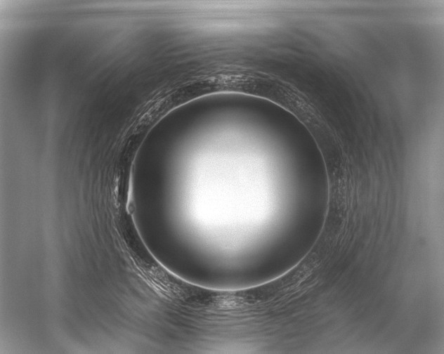 X0000059850750200510241503