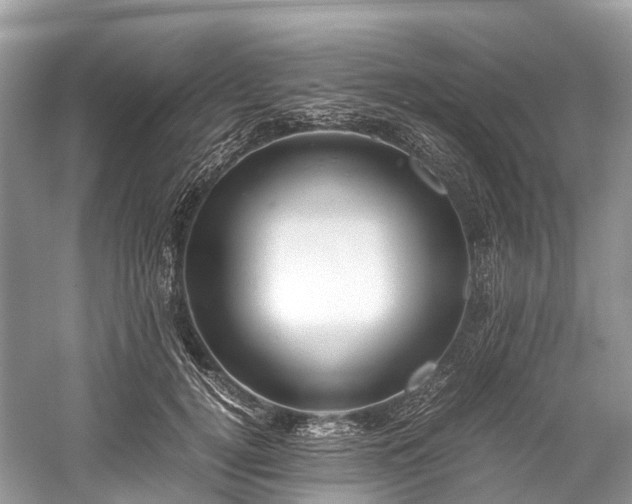 X0000059850752200510241503