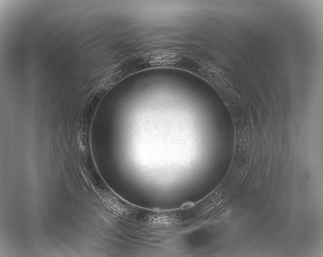 X0000059850755200510241503