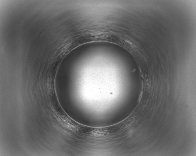 X0000059850756200510241503