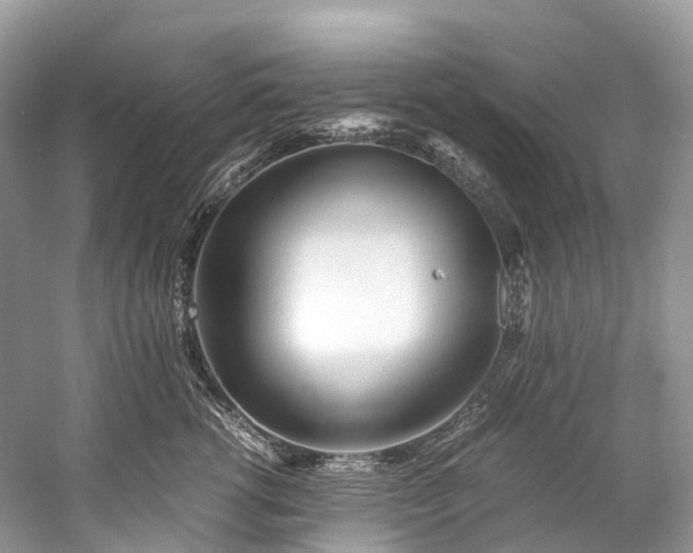 X0000059850762200510241504