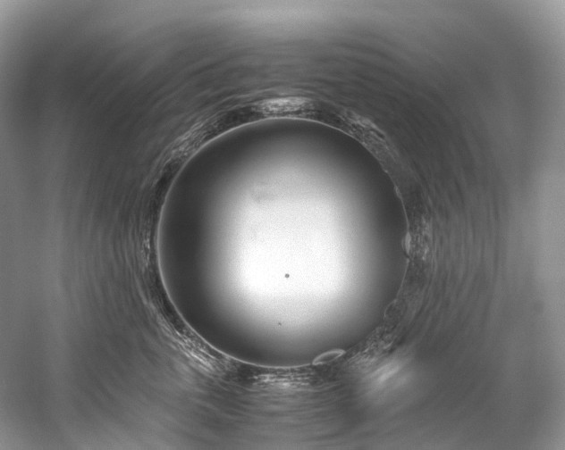 X0000059850763200510241504