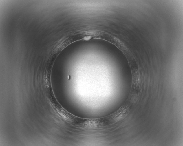 X0000059850764200510241504