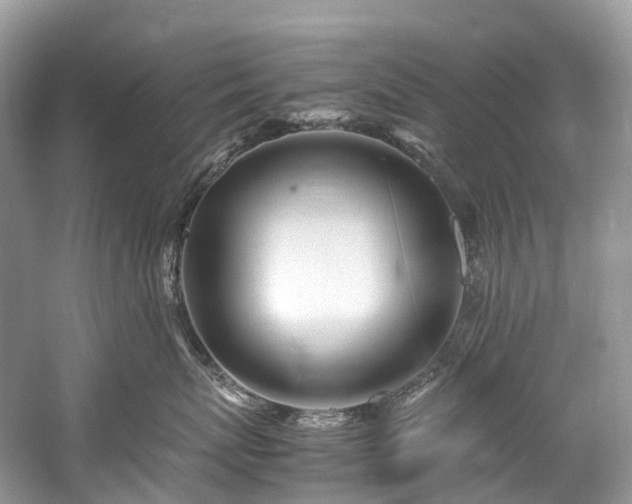 X0000059850767200510241504
