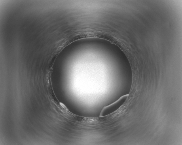 X0000059850768200510241504