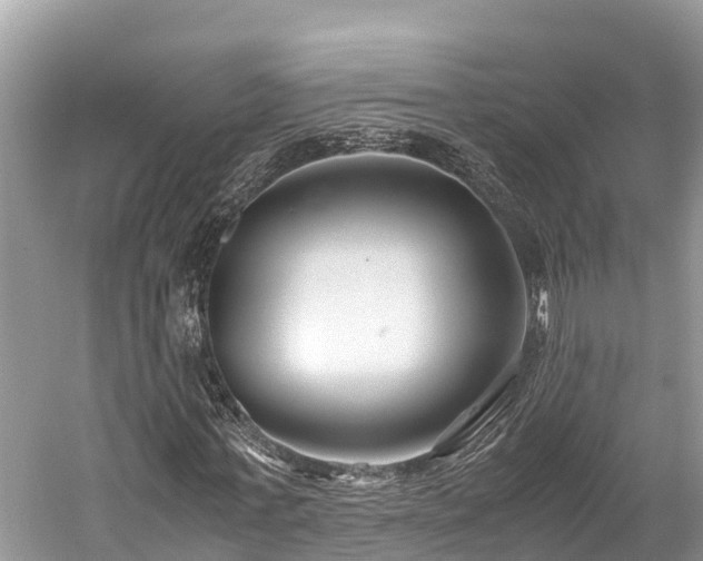 X0000059850771200510241503