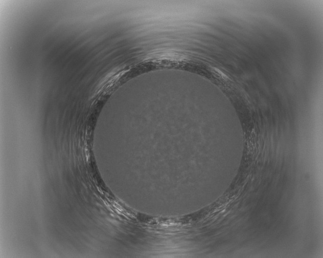 X0000059850774200510241503