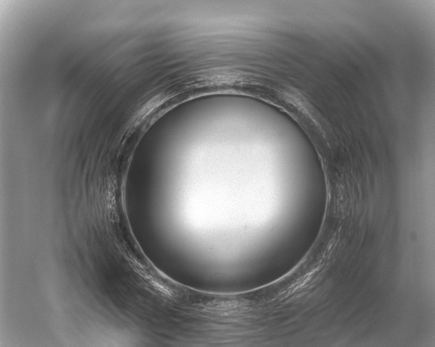 X0000059850778200510241503