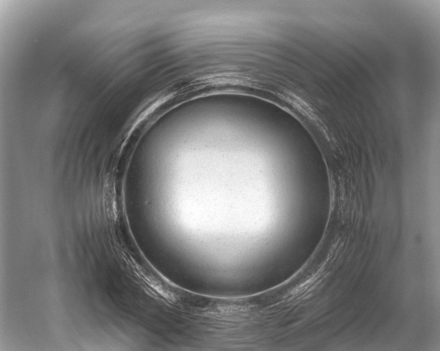 X0000059850782200510241503