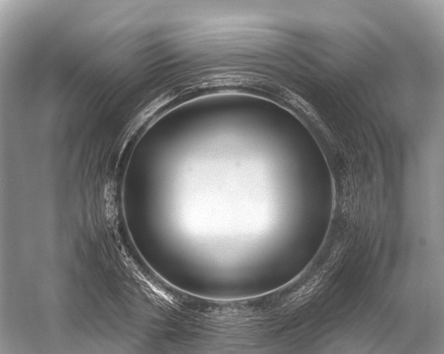 X0000059850786200510241503