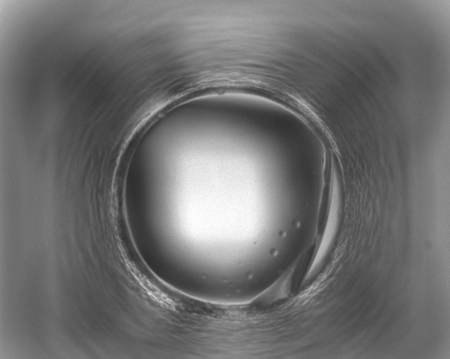 X0000059850787200510241503