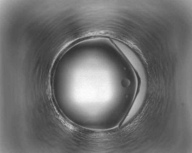 X0000059850792200510241502