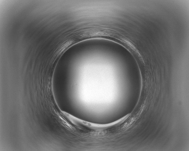 X0000059850793200510241502