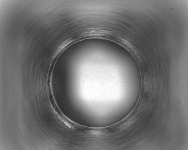 X0000059850794200510241502