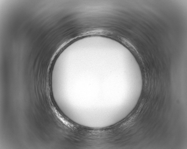 X0000059850800200510241502