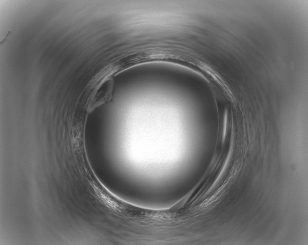 X0000059850801200510241502