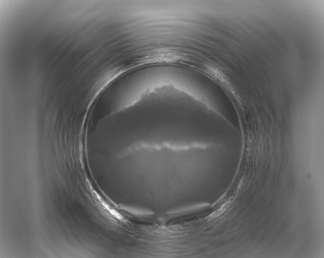 X0000059850802200510241502