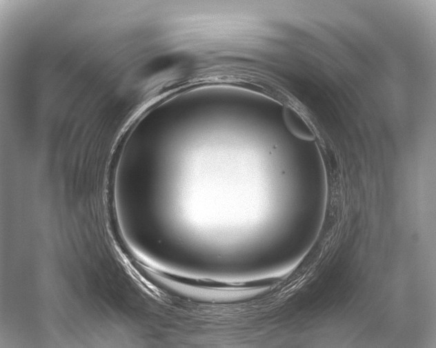 X0000059850803200510241502