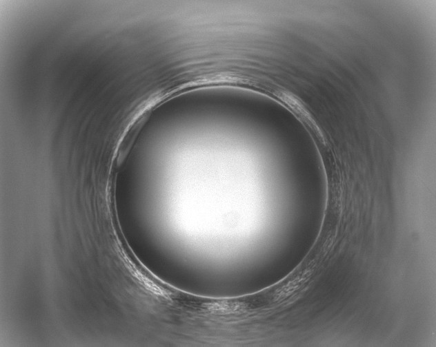 X0000059850805200510241502