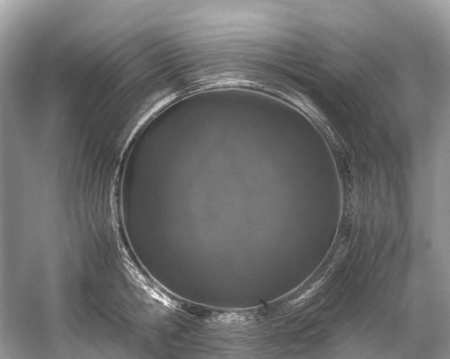 X0000059850806200510241502