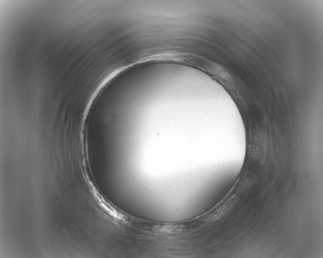 X0000059850808200510241502