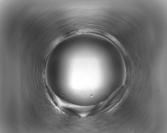 X0000059850809200510241502
