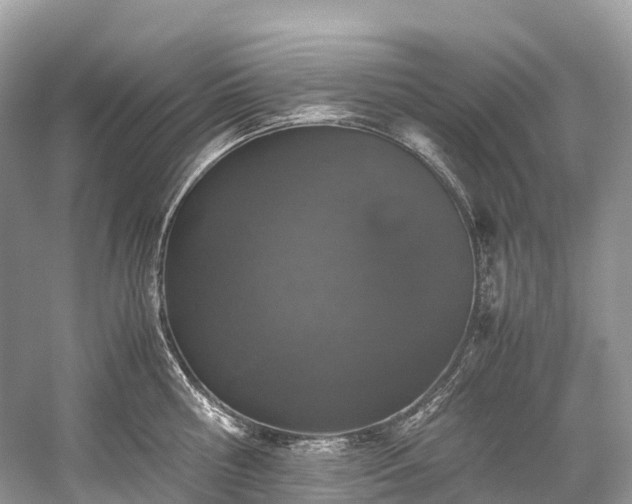 X0000059850810200510241502