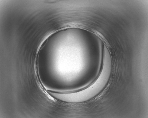 X0000059850812200510241502