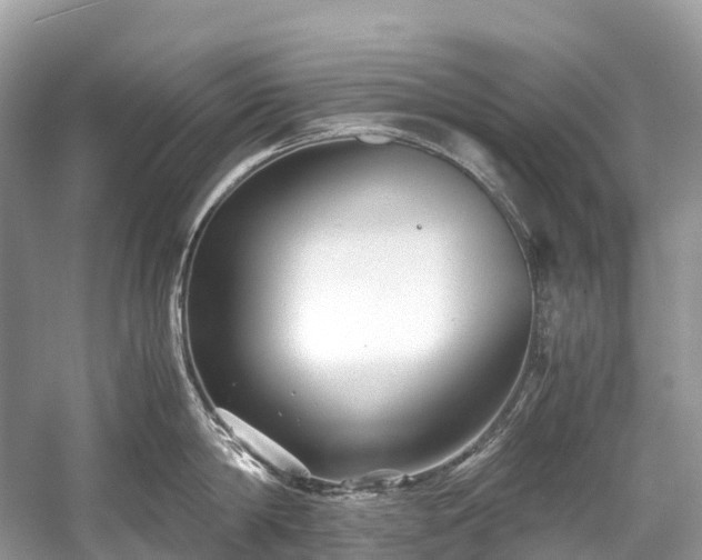X0000059850814200510241502