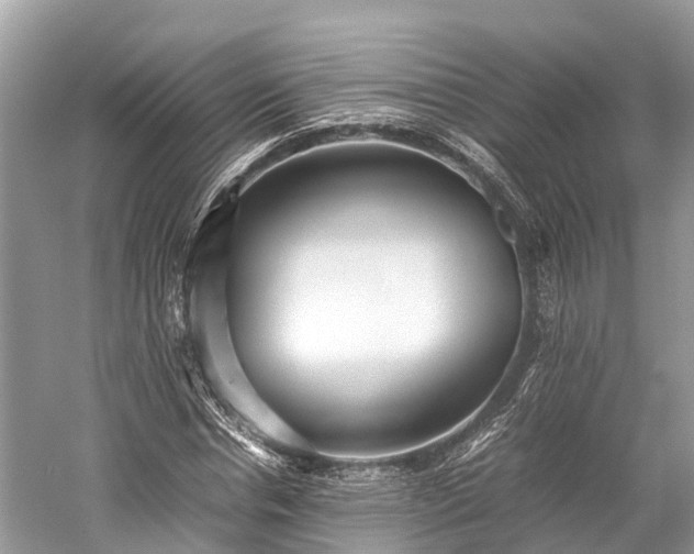 X0000059850826200510241501