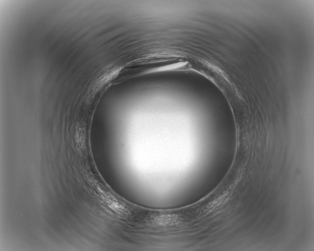 X0000059850833200510241502