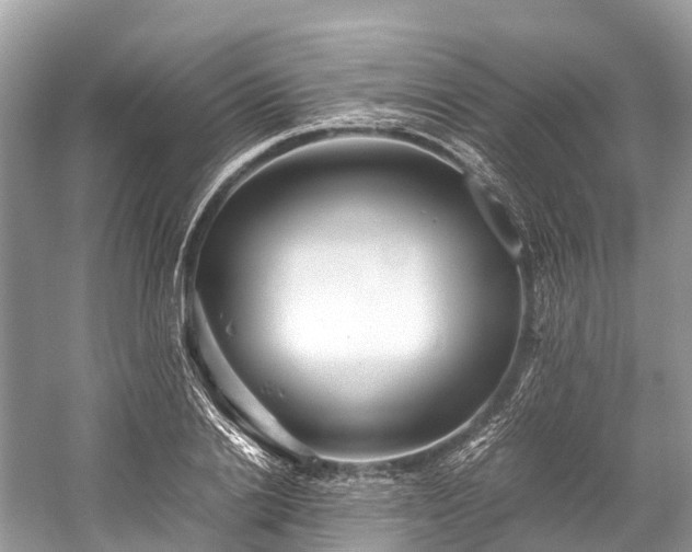 X0000059850838200510241502
