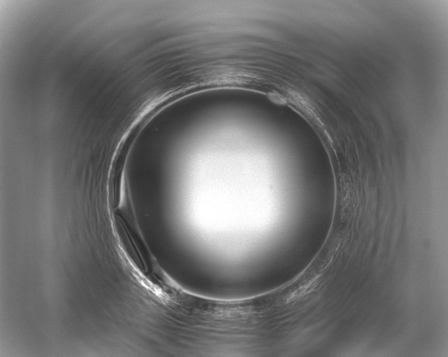 X0000059850843200510241502