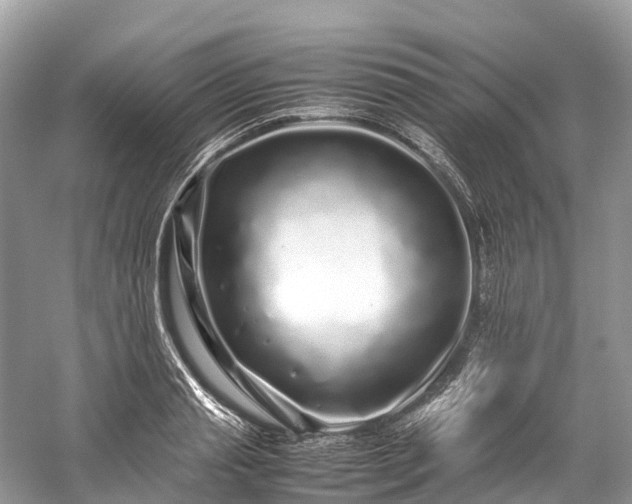 X0000059850845200510241502