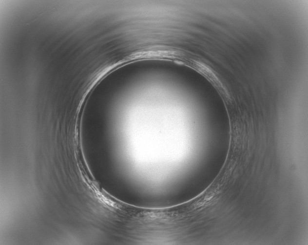 X0000059850852200510241502
