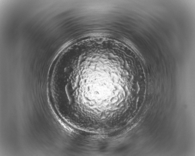 X0000059850853200510241502