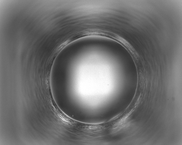 X0000059850857200510241502