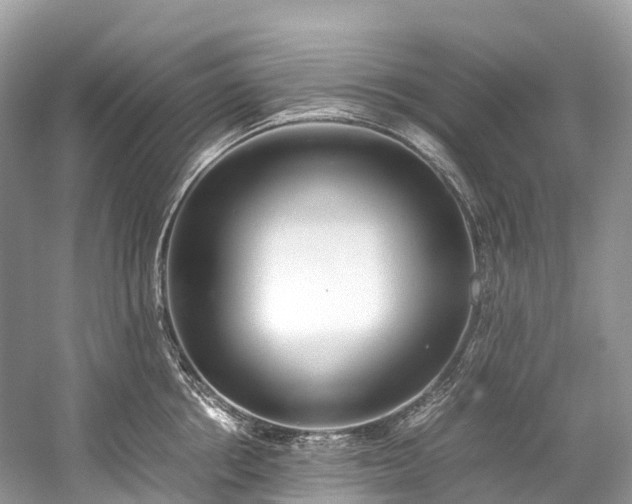 X0000059850858200510241502