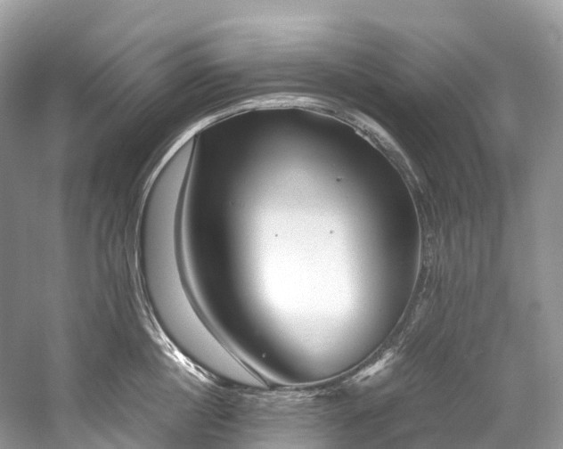 X0000059850860200510241502