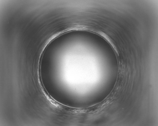 X0000059850861200510241502