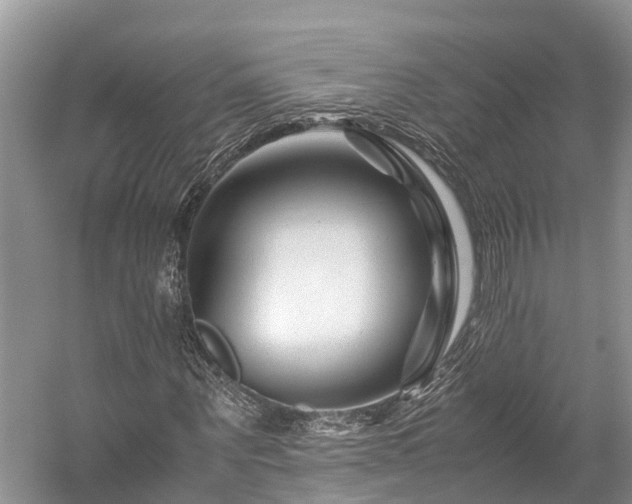 X0000059850867200510241501