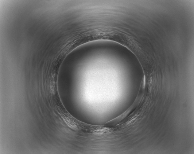 X0000059850868200510241501