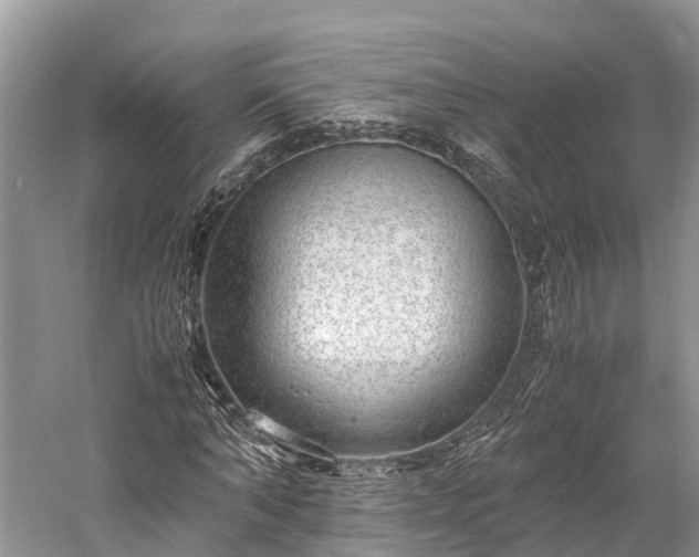X0000059850870200510241501