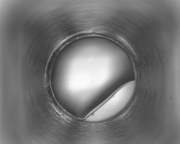 X0000059850876200510241501