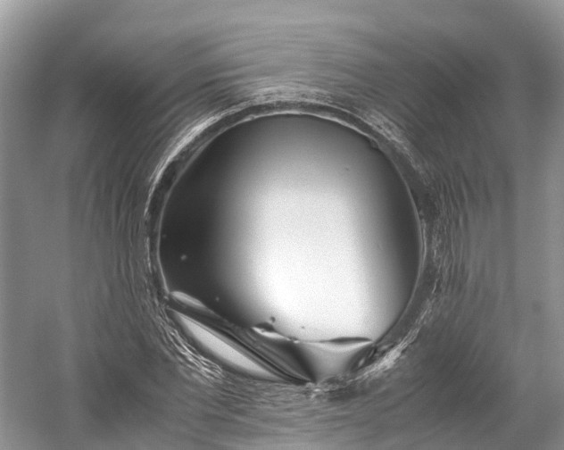 X0000059850877200510241501