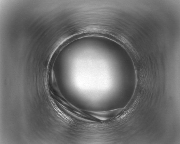 X0000059850880200510241501
