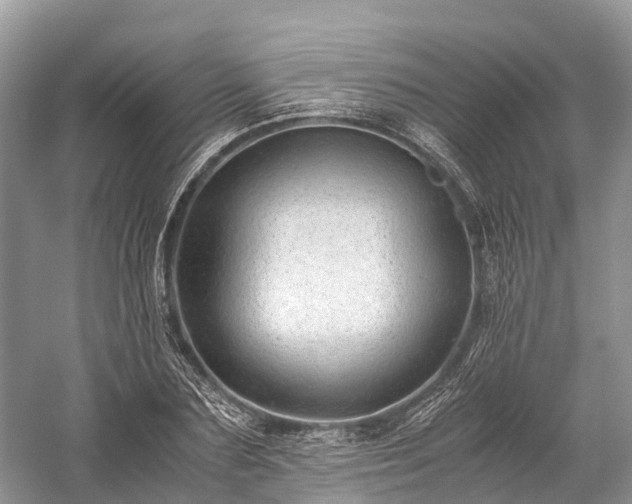 X0000059850883200510241501